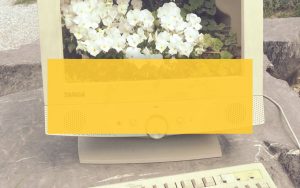 Webtexte